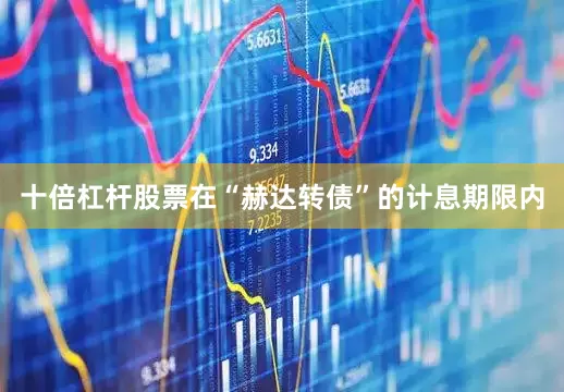 十倍杠杆股票在“赫达转债”的计息期限内