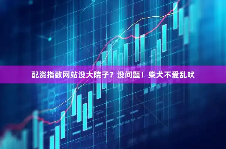 配资指数网站没大院子？没问题！柴犬不爱乱吠