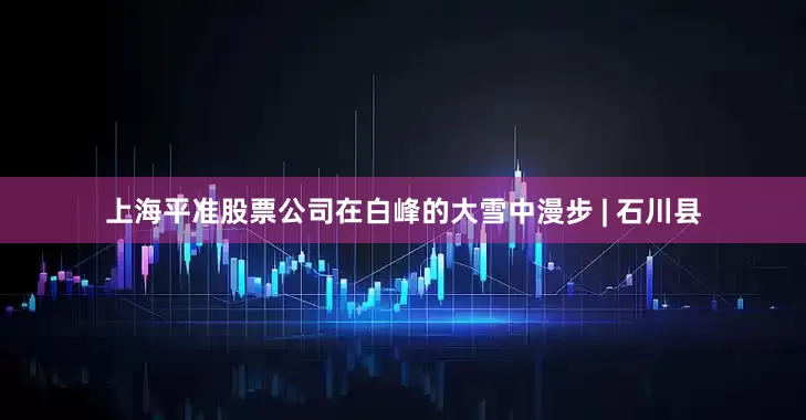上海平准股票公司在白峰的大雪中漫步 | 石川县