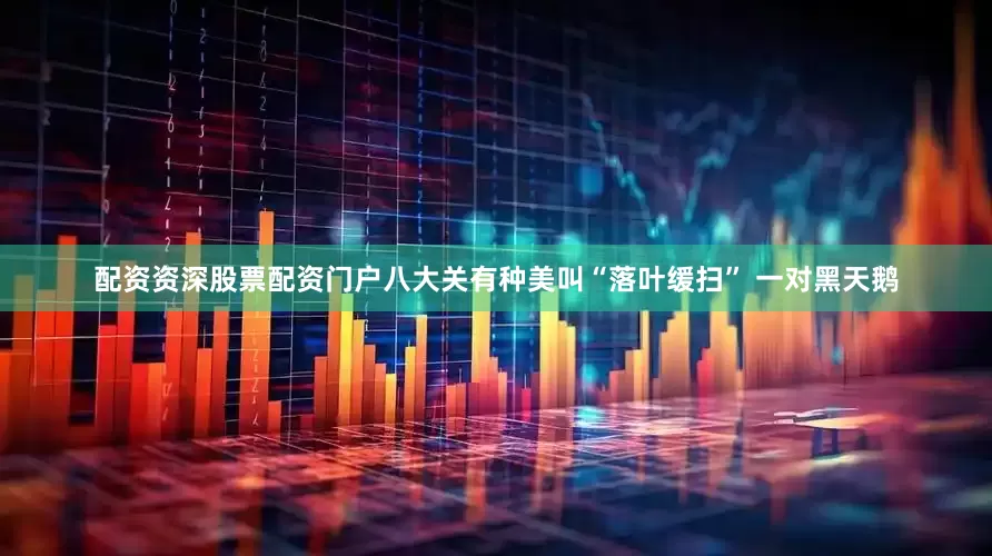 配资资深股票配资门户八大关有种美叫“落叶缓扫” 一对黑天鹅