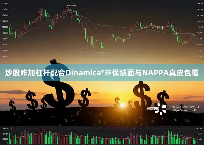 炒股咋加杠杆配合Dinamica®环保绒面与NAPPA真皮包覆